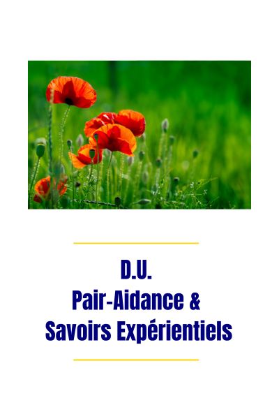D U Pair Aidance & Savoirs Expérientiels