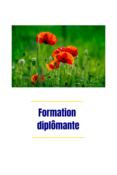 Nos formations Formation diplômante