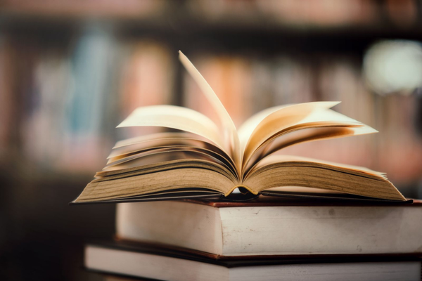 Actualité Ouvrage Rétablissement