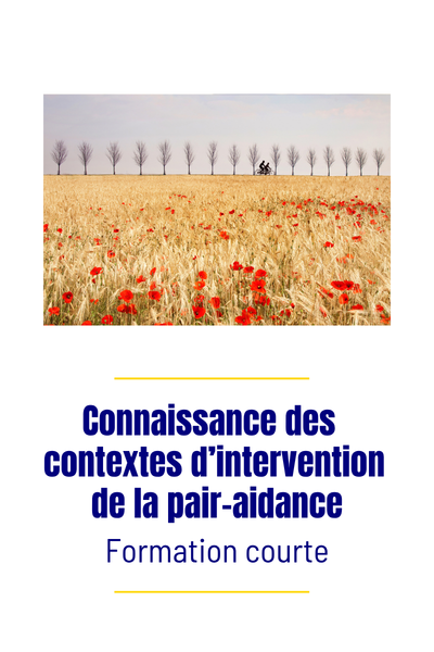 Formation courte Connaissance des contextes d'intervention