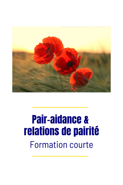 Formation courte Pair aidance & relations de pairité2