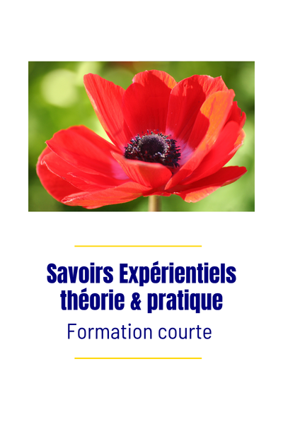 Formation courte Savoirs Expérientiels