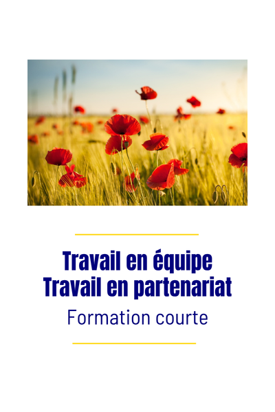 Formation courte Travail en équipe, travail en partenariat
