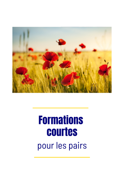 Présentations Nos formations